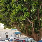 Pensión Da Agnese Locazioni Brevi 3*
