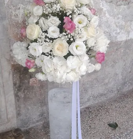 게스트하우스 Da Agnese Locazioni Brevi