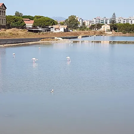 Da Agnese Locazioni Brevi 3* 칼리아리