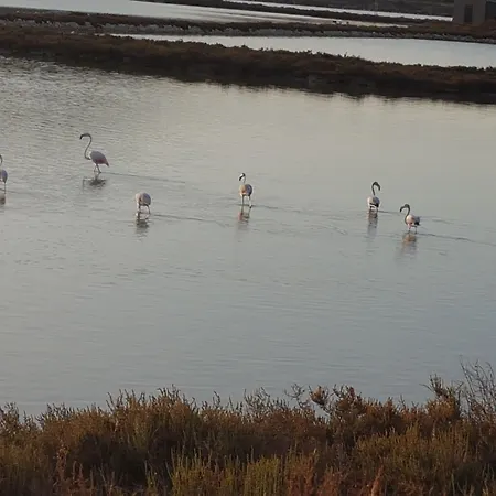 Da Agnese Locazioni Brevi 3*