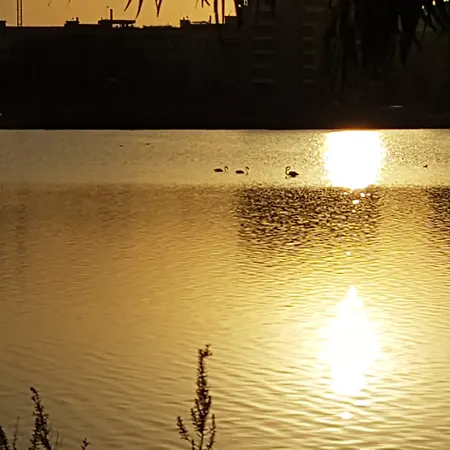 Da Agnese Locazioni Brevi